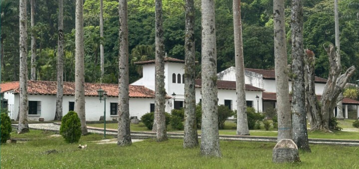 Venezuela: Profesores de la USB alertan sobre hostigamiento y medidas arbitrarias por parte de autoridades interinas